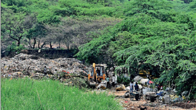 Residents fume as MC turns Jhuriwala forest area in Panchkula into dumping ground