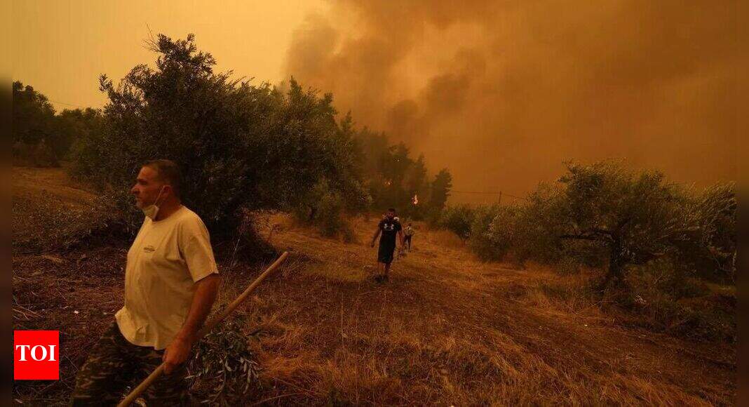 Massive Forest Fire In Greece Still Burning For 7th Day Times Of India
