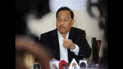 Total 433 clusters approved under revamped SFURTI scheme, says Narayan Rane