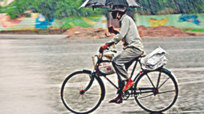 Odisha got 75% deficit rainfall so far in August: IMD report