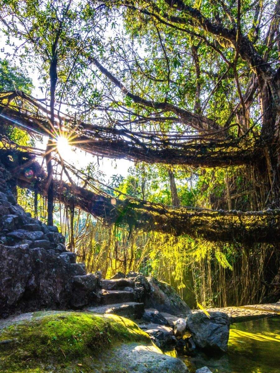 hårdtarbejdende Fakultet marts Places To Visit In Meghalaya For Nature Lovers | Times of India