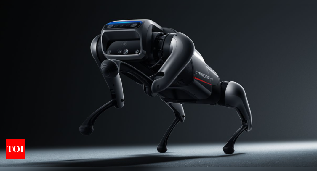 Xiaomi’s latest product: An angry-looking pet robot dog – Times of India