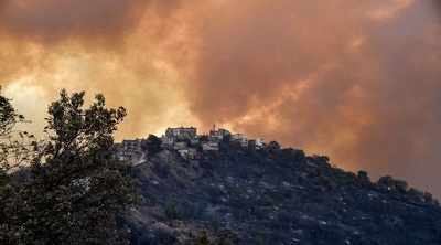Algeria blames forest fires on arson, death toll rises to 24