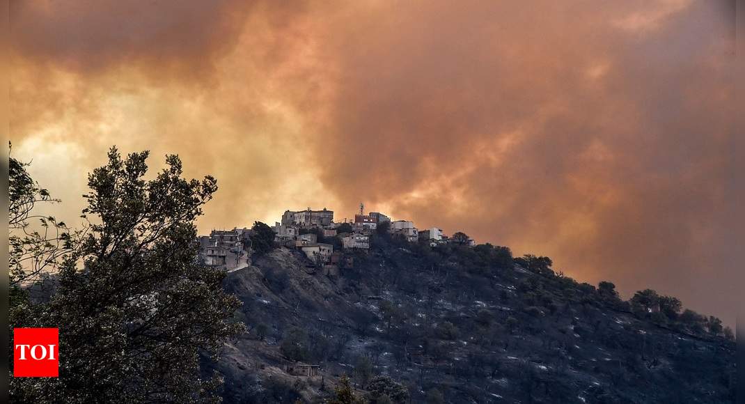 Algeria Blames Forest Fires On Arson, Death Toll Rises To 24 - Times Of ...