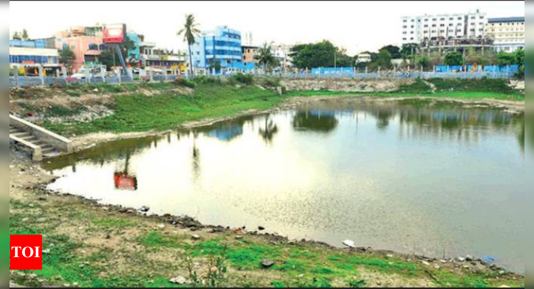 Remove squatters from Ramapuram lake now, says NGT