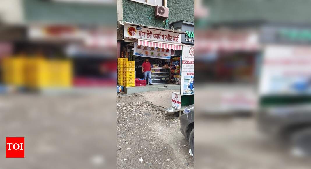 illegal bird feeding Times of India