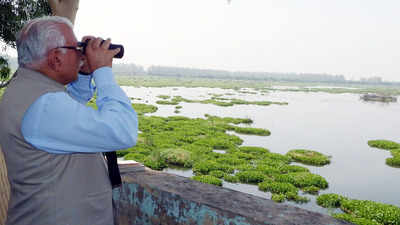 Sultanpur, Bhindawas wetlands near Delhi get Ramsar tag