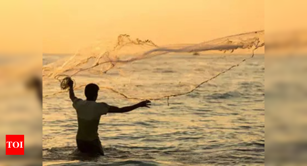 Goa: Fishermen to pay 30 times more to dry fish