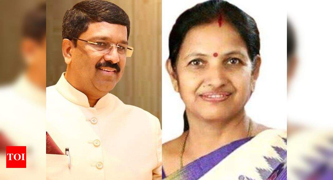 Congress appoints Naseer Hussain, Chhaya Verma as its whips in Rajya ...