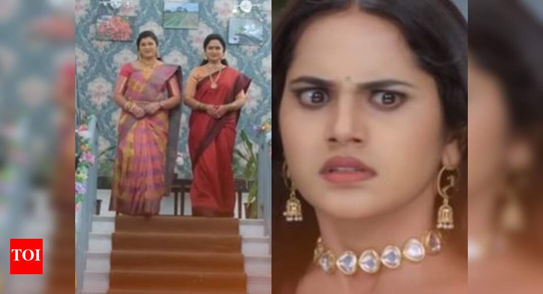 Trinayani preview: Gayatri to finally arrive; Jasmine has new problems ...