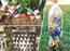 Plastic packets, snack wrappers, glittery paper: Upcycle trash into ecobricks