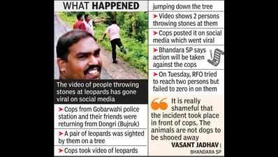 Cops watch as 2 friends pelt stones at leopards, to face action