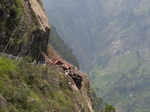 These pictures show devastation of landslide in Himachal Pradesh