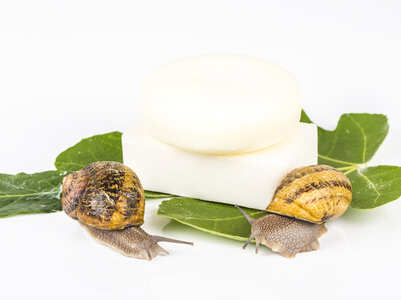 K Beauty: Would you wash with snail slime soap?
