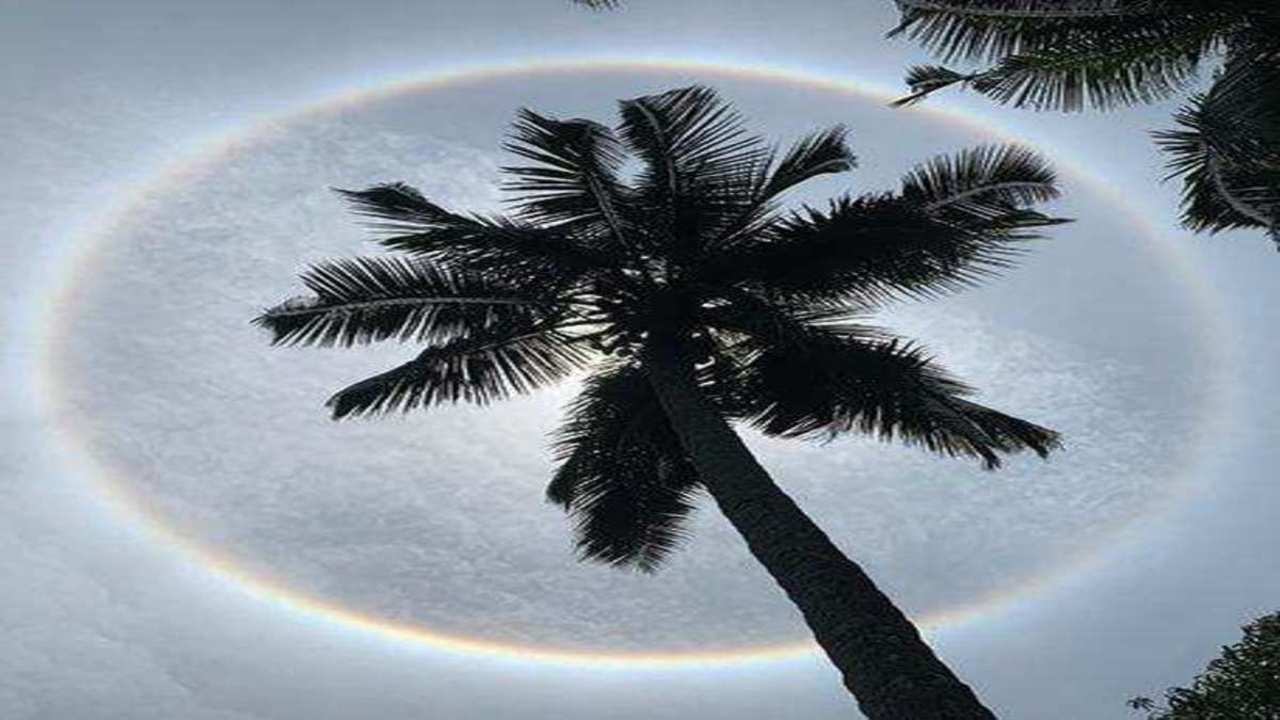 Explainer: what are halos? - Social Media Blog - Bureau of Meteorology