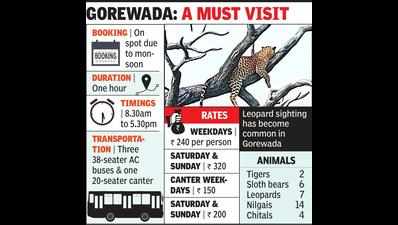 Gorewada zoo safari becoming tourist hotspot