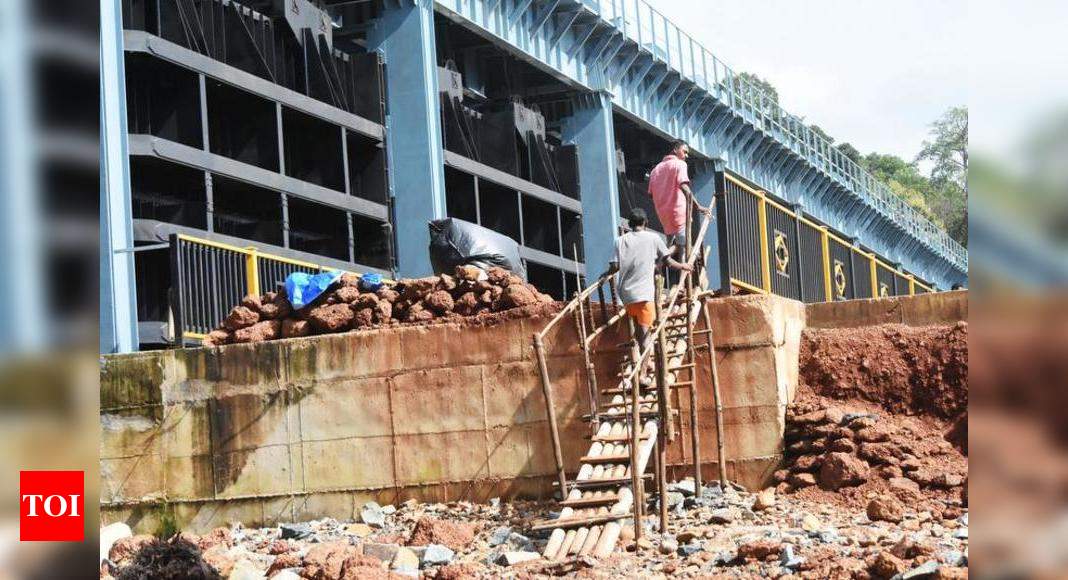 Goa: Flood waters ruin lone bridge, hopes of remote Bhironda ward