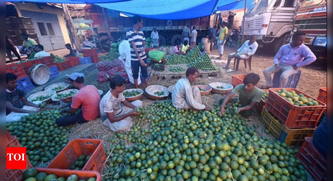 Demand for vegetables, fruits & grain up at wholesale market in Pune