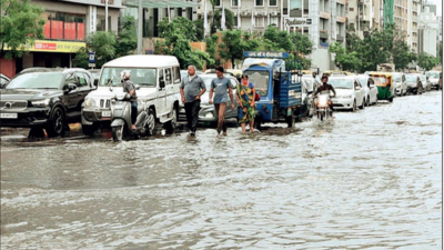 Ahmedabad: ‘Sponge roads to suck water faster’ | Ahmedabad News - Times ...