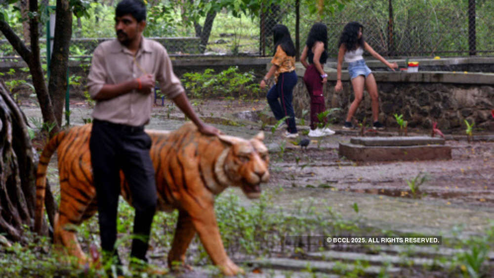 In photos: Mumbai's Sanjay Gandhi National Park reopens for tourists ...