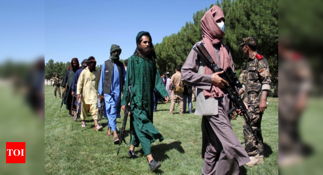 Afghanistan Latest News: Foreign terrorist groups in support of Taliban ...