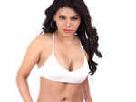 Sherlyn Chopra shares picture with Raj Kundra, actress gets trolled