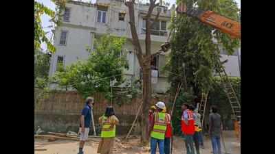 Delhi: Defence Colony residents need third party help to rescue trees