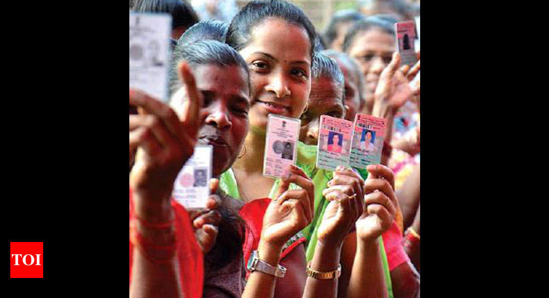 Goa: Cleanup of electoral rolls begins, final list by January 5