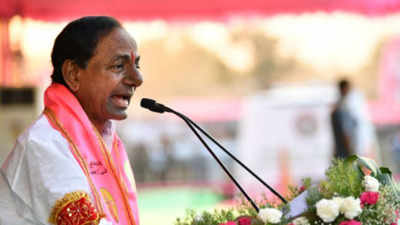 Telangana: Aasara pension applications can be submitted up to Aug 31