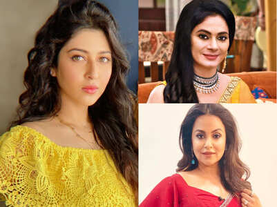 Sonarika's defaulter owes Rs 5 cr to industry