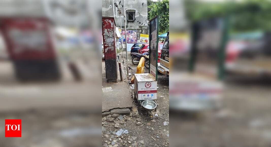 illegal bird feeding Times of India