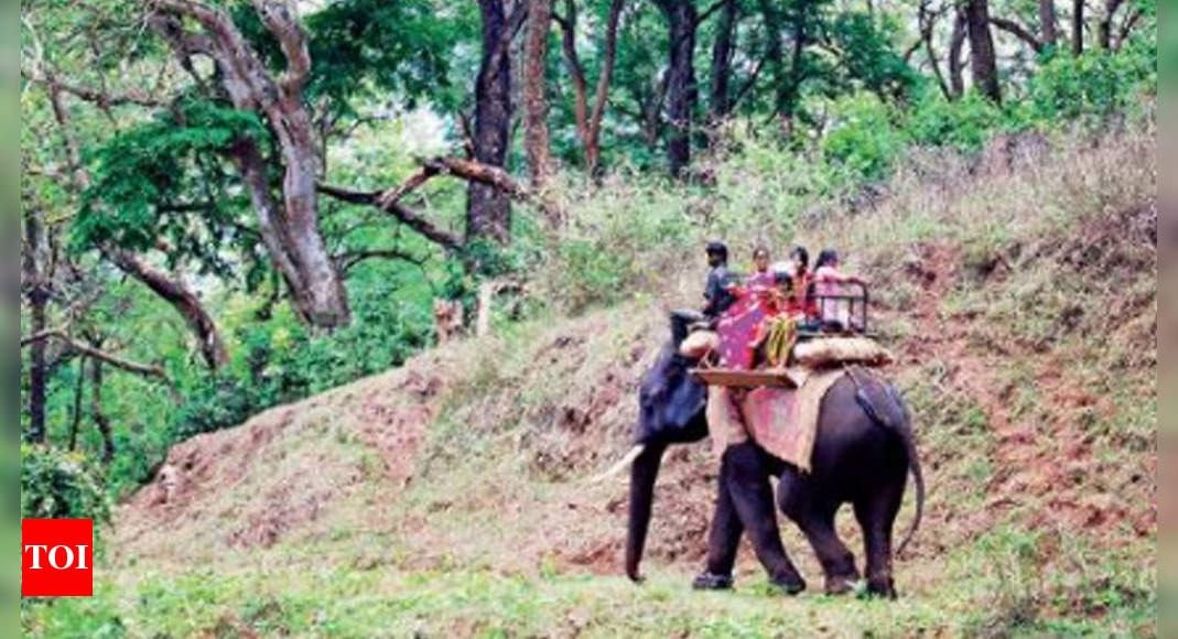 tamil-nadu-to-streamline-forest-treks-camps-to-boost-eco-tourism