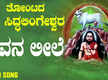 
Shiva Bhakti Song: Check Out Popular Kannada Devotional Video Song 'Shivana Leele' Sung By Sangeetha Kulkarni

