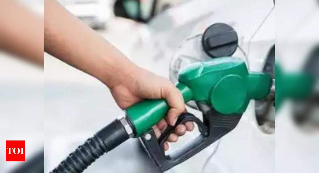 Fuel pricing: FM blames UPA’s oil bonds