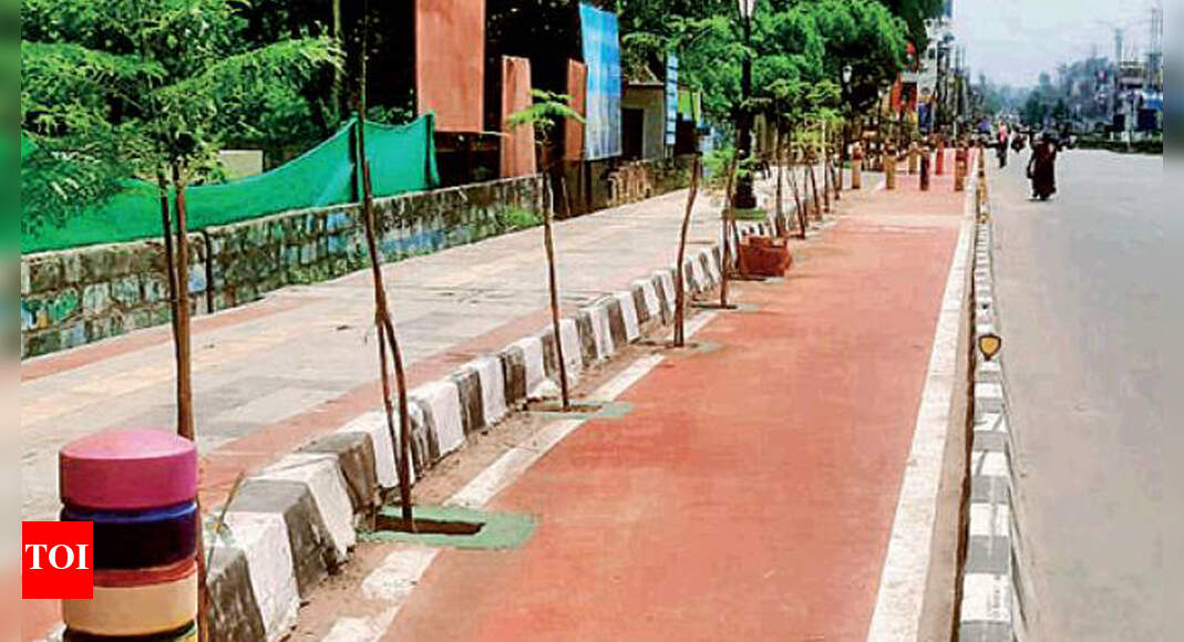 Telangana GWMC plants saplings on cycle tracks in Warangal Hyderabad