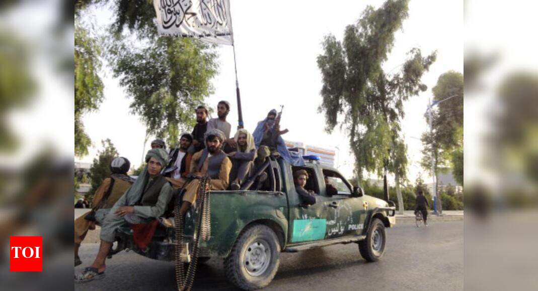 Times of India » World News