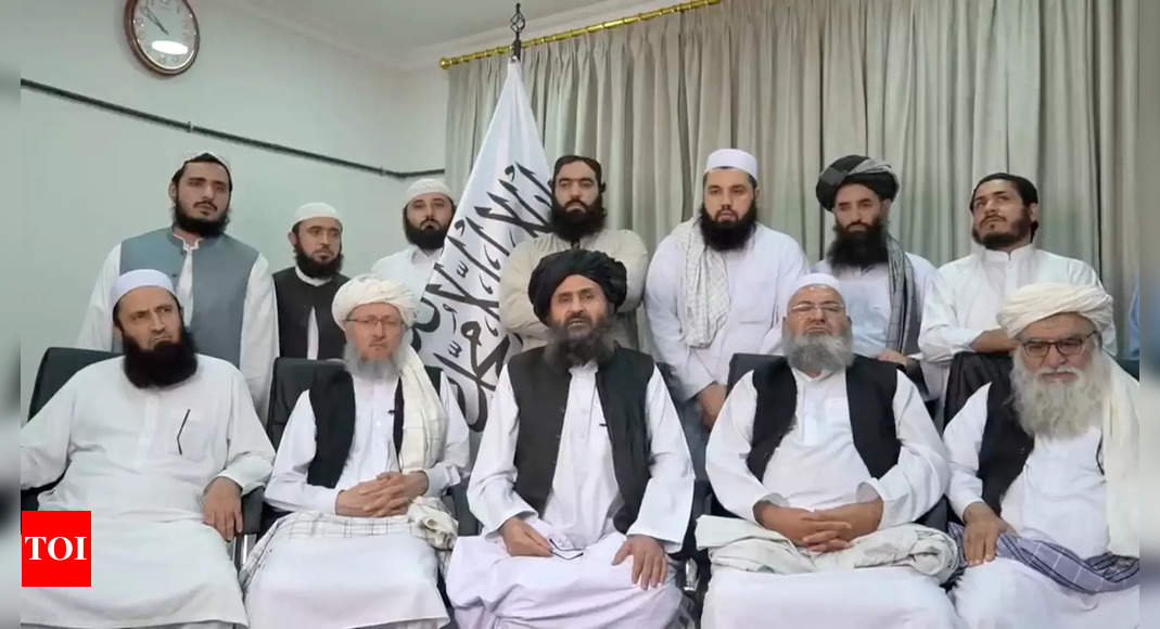 Taliban announce 'general amnesty' for govt officials