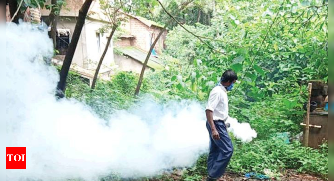 Goa: 23 suspected dengue cases in Ponda taluka worry doctors