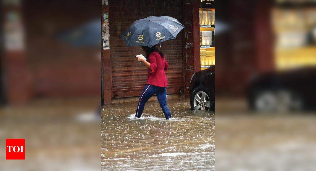 ‘Despite lull, Goa’s rainfall neither in excess nor deficit’