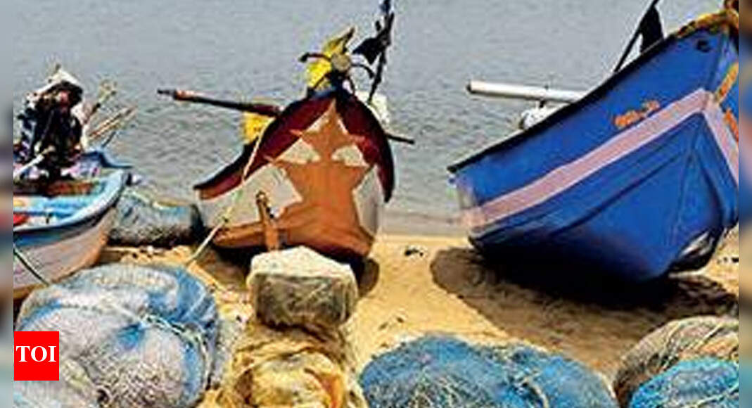 Chennai: Tuna harbour to help decongest Kasimedu facility