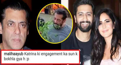 Salman Khan Trolled Over Katrina Kaif And Vicky Kaushal S Engagement Rumours Hindi Movie News Bollywood Times Of India