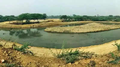 Nearly 1,000 waterbodies in Delhi put on map