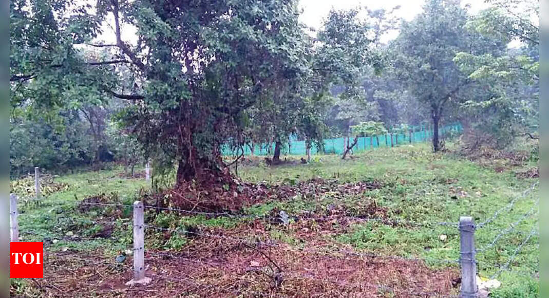 Goa uses 55yearold order to revert 36 lakh sqm land in Sanguem to