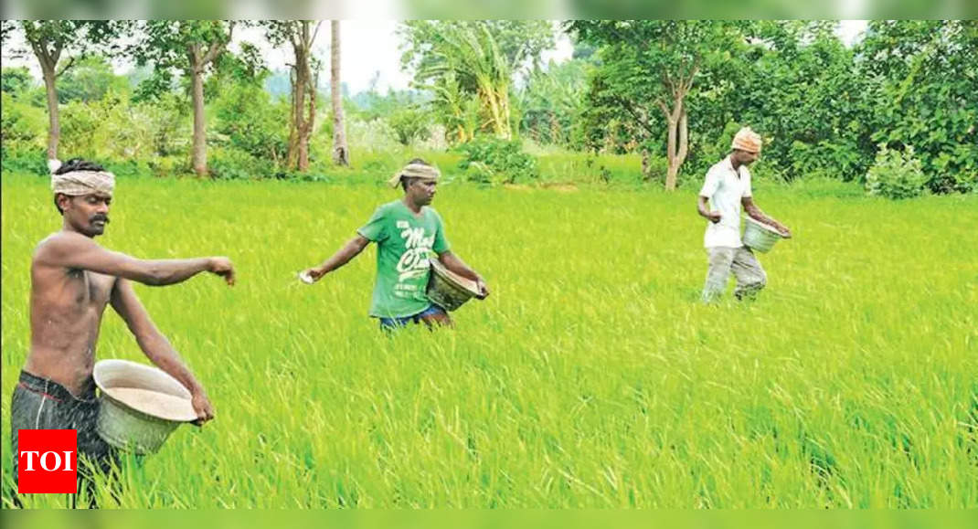 Farmers to get Rs 2k-cr for samba crop loss: TN minister