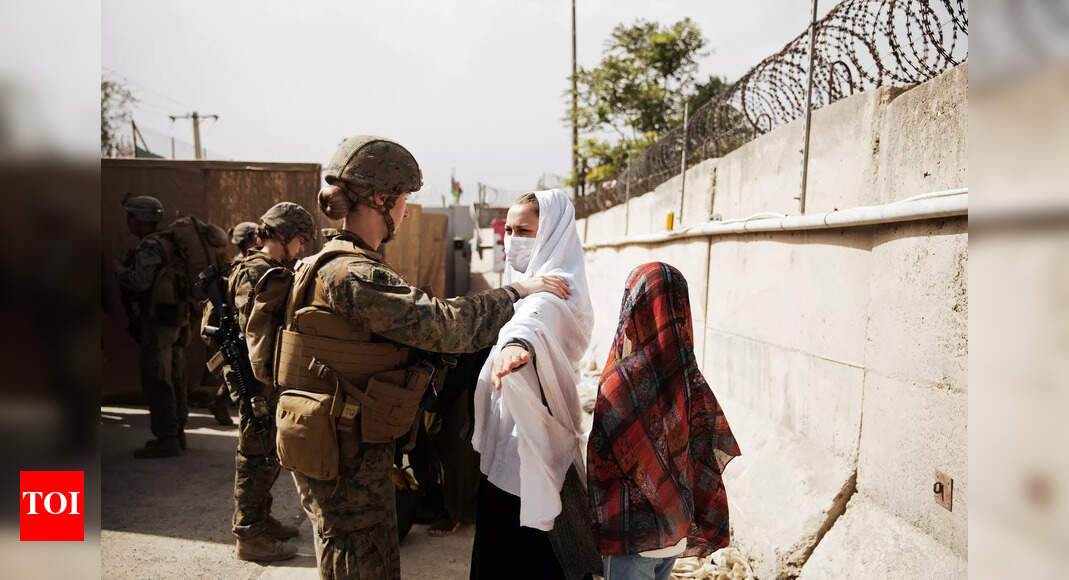 Times of India » World News