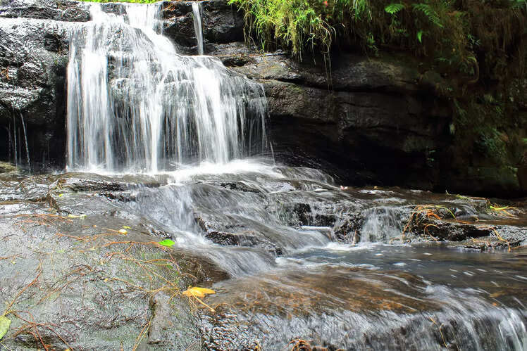 Catherine Waterfalls, Nilgiri