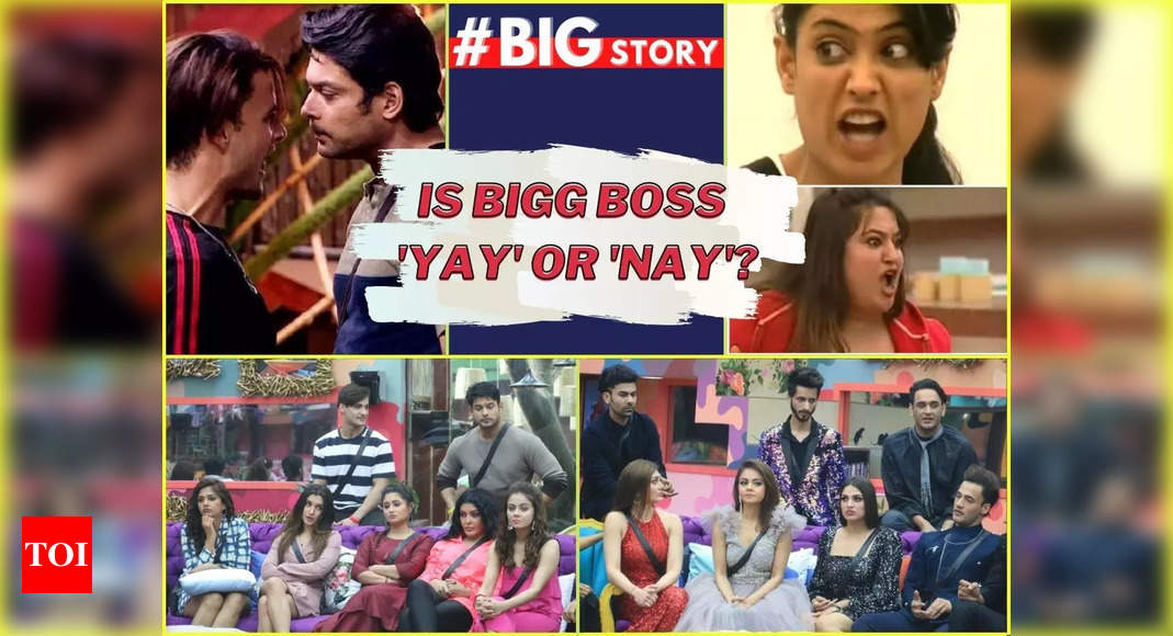 Big Is Bigg Boss 'yay' or 'nay'? Former contestants talk about and cons of doing the reality show - Times of India