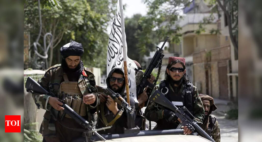 Times of India » World News