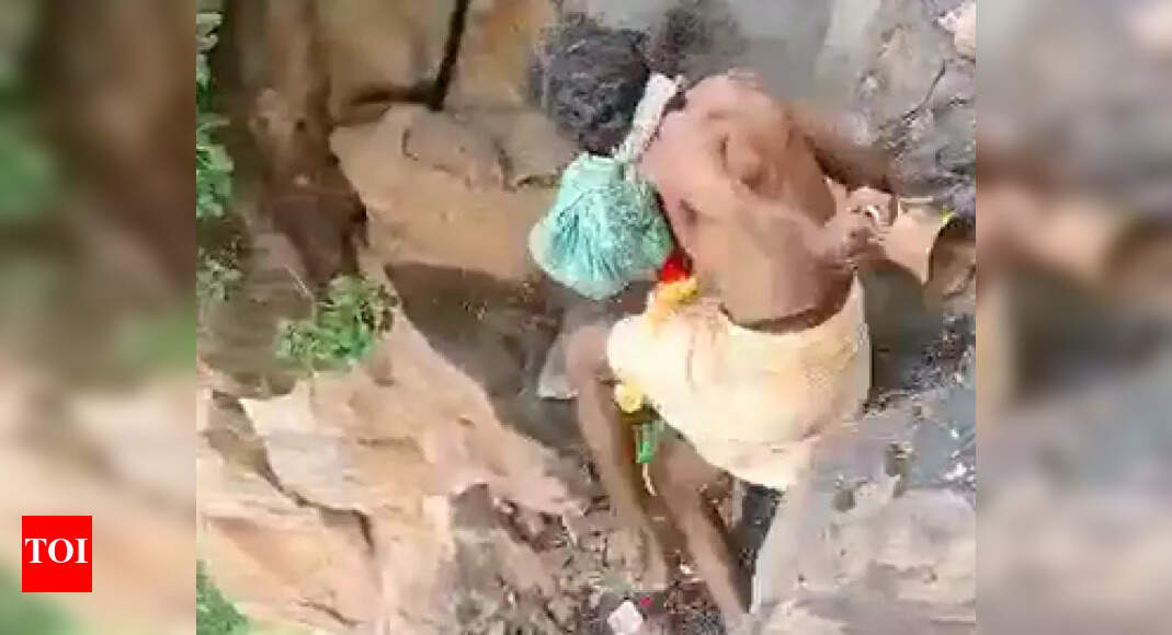 Andhra Pradesh: Priest falls off hillock while performing puja, dies ...