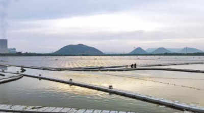 New dawn: India's largest floating solar power plant starts in Andhra